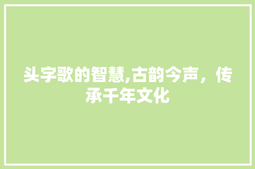 头字歌的智慧,古韵今声，传承千年文化