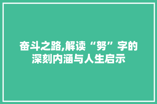奋斗之路,解读“努”字的深刻内涵与人生启示 反义词汇