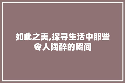 如此之美,探寻生活中那些令人陶醉的瞬间