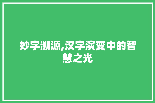 妙字溯源,汉字演变中的智慧之光