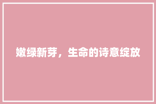 嫩绿新芽，生命的诗意绽放