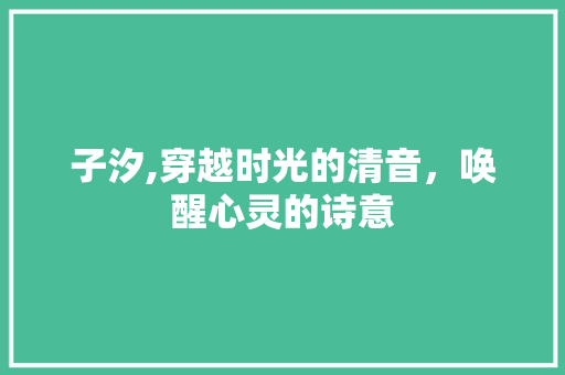 子汐,穿越时光的清音，唤醒心灵的诗意
