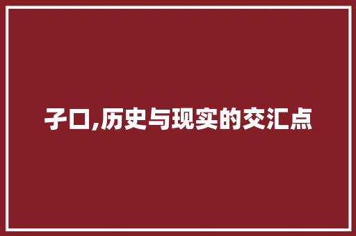 孑口,历史与现实的交汇点