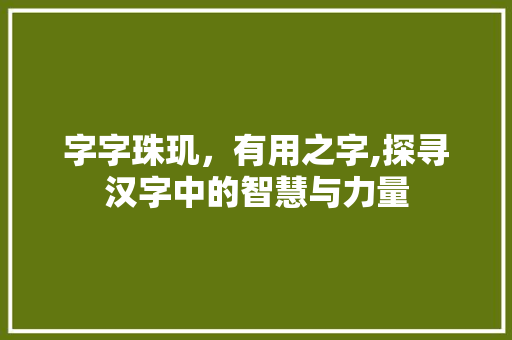 字字珠玑，有用之字,探寻汉字中的智慧与力量
