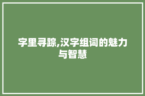 字里寻踪,汉字组词的魅力与智慧