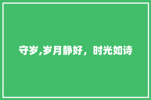 守岁,岁月静好，时光如诗