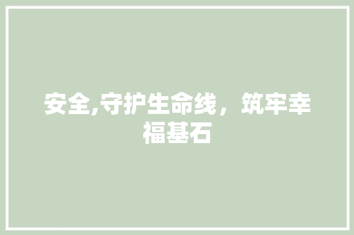 安全,守护生命线，筑牢幸福基石 短语