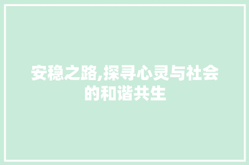 安稳之路,探寻心灵与社会的和谐共生 英语单词
