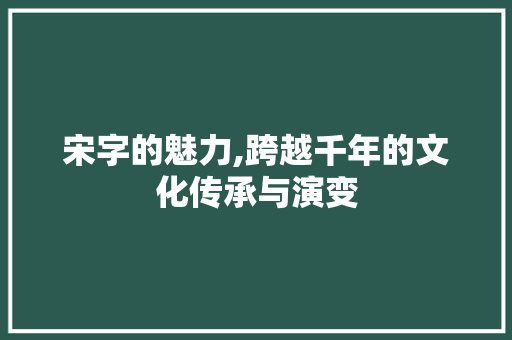 宋字的魅力,跨越千年的文化传承与演变 问答