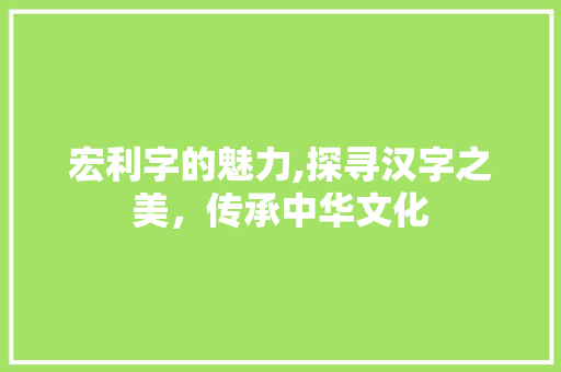 宏利字的魅力,探寻汉字之美，传承中华文化