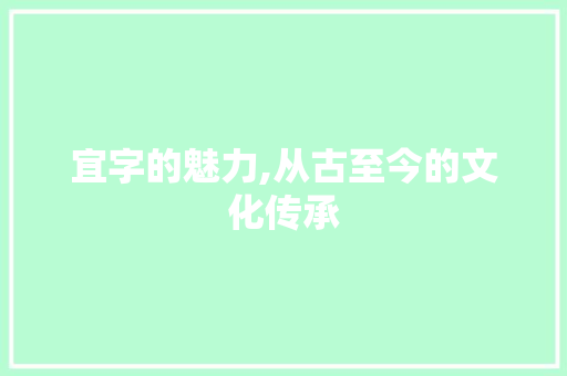 宜字的魅力,从古至今的文化传承