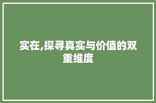 实在,探寻真实与价值的双重维度