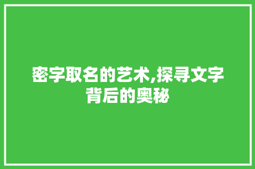 密字取名的艺术,探寻文字背后的奥秘