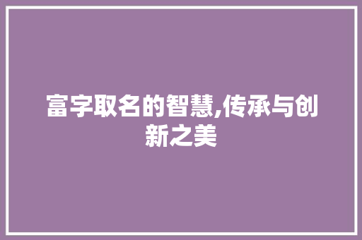 富字取名的智慧,传承与创新之美