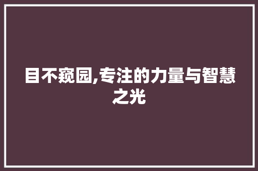 目不窥园,专注的力量与智慧之光 短语