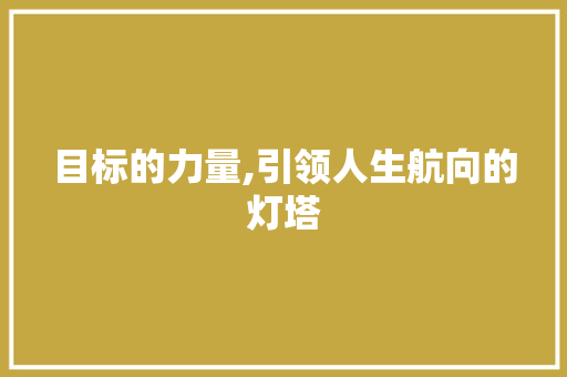 目标的力量,引领人生航向的灯塔
