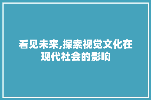 看见未来,探索视觉文化在现代社会的影响