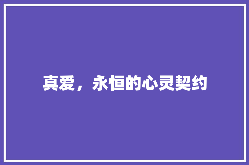 真爱，永恒的心灵契约
