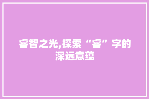 睿智之光,探索“睿”字的深远意蕴
