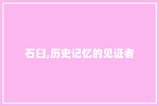 石臼,历史记忆的见证者