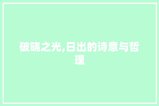破晓之光,日出的诗意与哲理