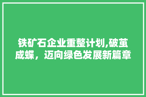铁矿石企业重整计划,破茧成蝶，迈向绿色发展新篇章