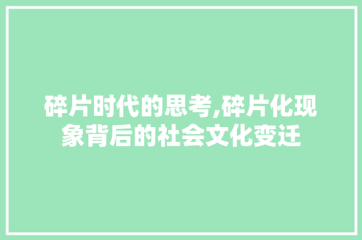 碎片时代的思考,碎片化现象背后的社会文化变迁