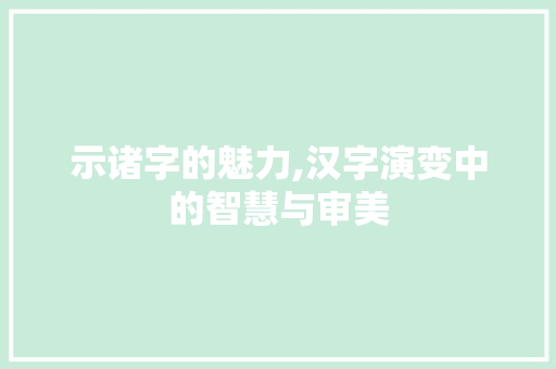 示诸字的魅力,汉字演变中的智慧与审美