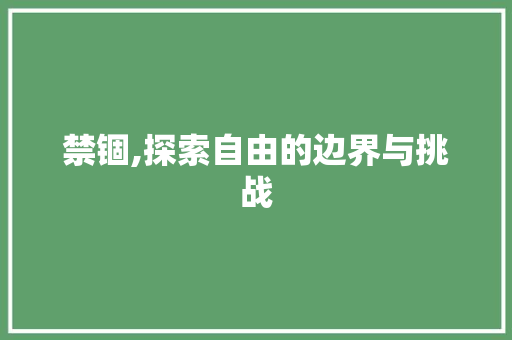 禁锢,探索自由的边界与挑战
