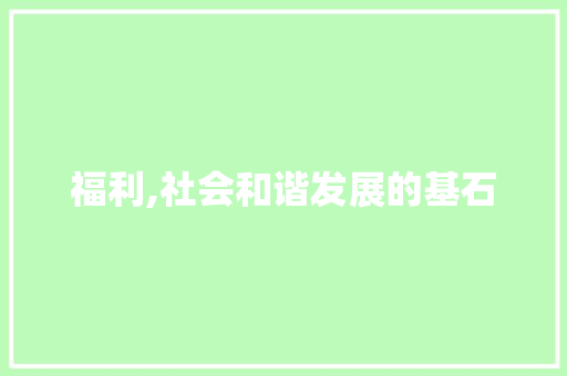 福利,社会和谐发展的基石