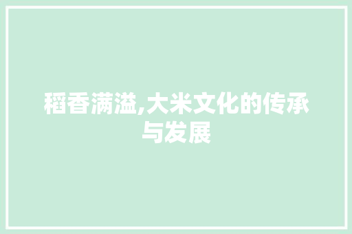 稻香满溢,大米文化的传承与发展