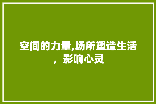 空间的力量,场所塑造生活，影响心灵