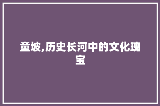 童坡,历史长河中的文化瑰宝