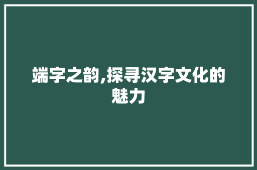 端字之韵,探寻汉字文化的魅力