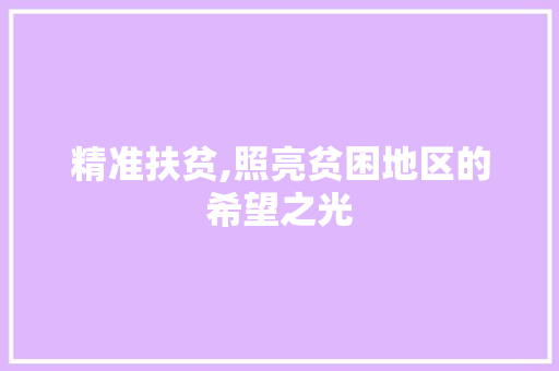 精准扶贫,照亮贫困地区的希望之光 近义词汇