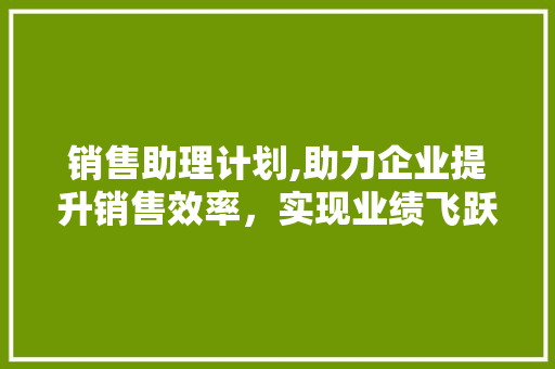 销售助理计划,助力企业提升销售效率，实现业绩飞跃