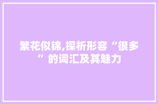 繁花似锦,探析形容“很多”的词汇及其魅力