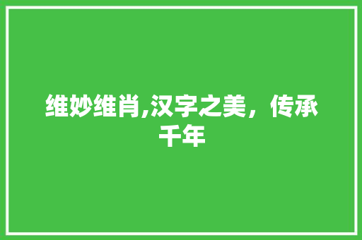 维妙维肖,汉字之美，传承千年