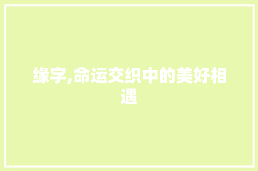 缘字,命运交织中的美好相遇