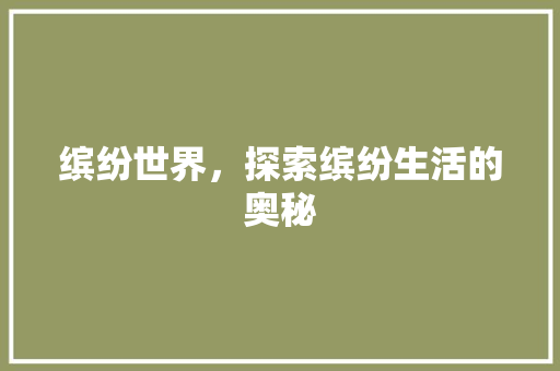 缤纷世界，探索缤纷生活的奥秘