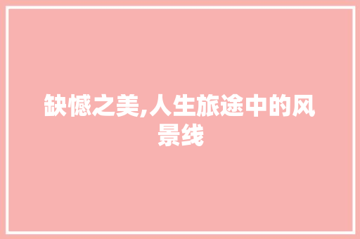 缺憾之美,人生旅途中的风景线