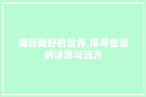 美丽美好的世界,探寻生活的诗意与远方