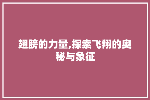 翅膀的力量,探索飞翔的奥秘与象征