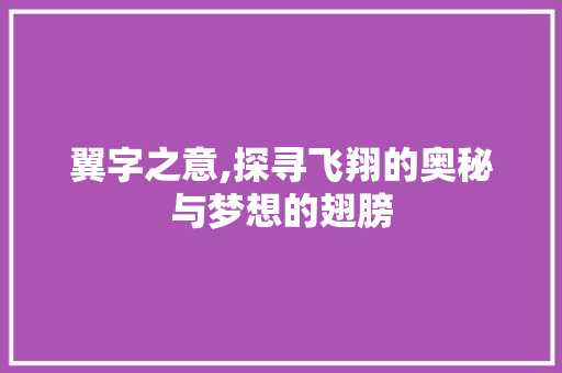 翼字之意,探寻飞翔的奥秘与梦想的翅膀