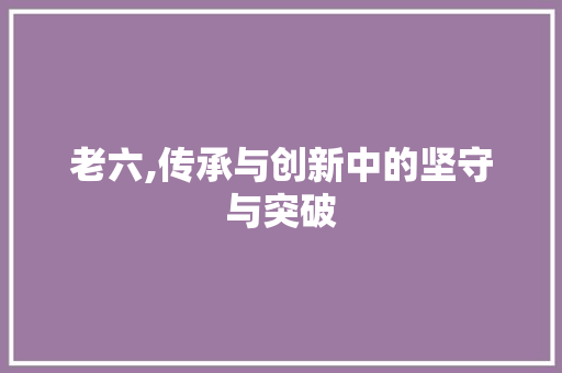 老六,传承与创新中的坚守与突破