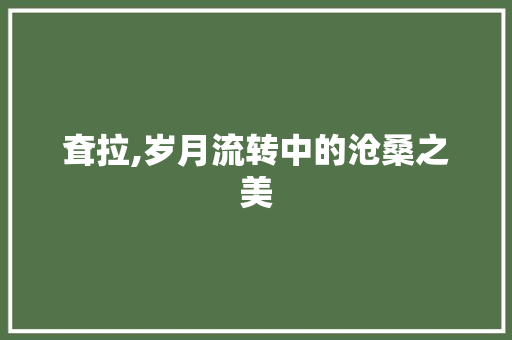 耷拉,岁月流转中的沧桑之美