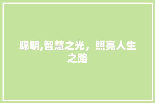 聪明,智慧之光，照亮人生之路