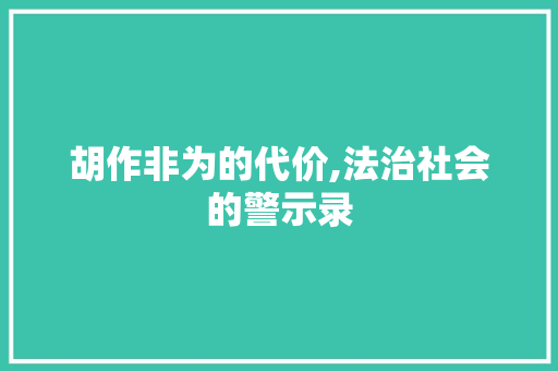 胡作非为的代价,法治社会的警示录