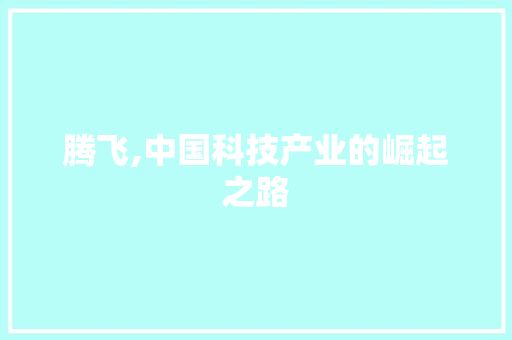 腾飞,中国科技产业的崛起之路