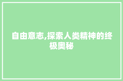 自由意志,探索人类精神的终极奥秘